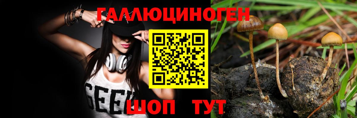 как найти закладки  Псилоцибиновые грибы ЛСД  Тулун  Вход с VPN  Галлюциногенные грибы MAGIC MUSHROOMS 